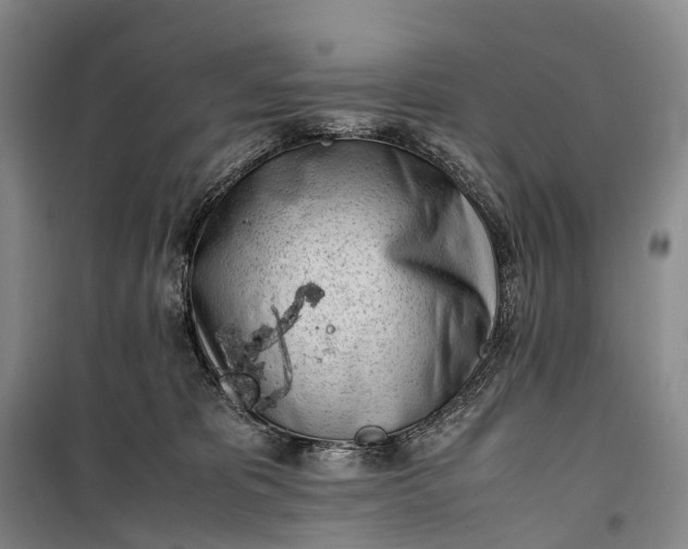 X0000100230325200806131342