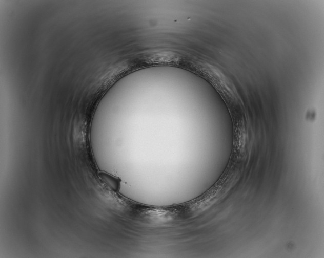 X0000100230326200806131342