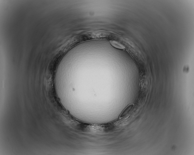 X0000100230327200806131342