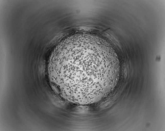 X0000100230328200806131342