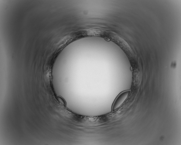 X0000100230329200806131342