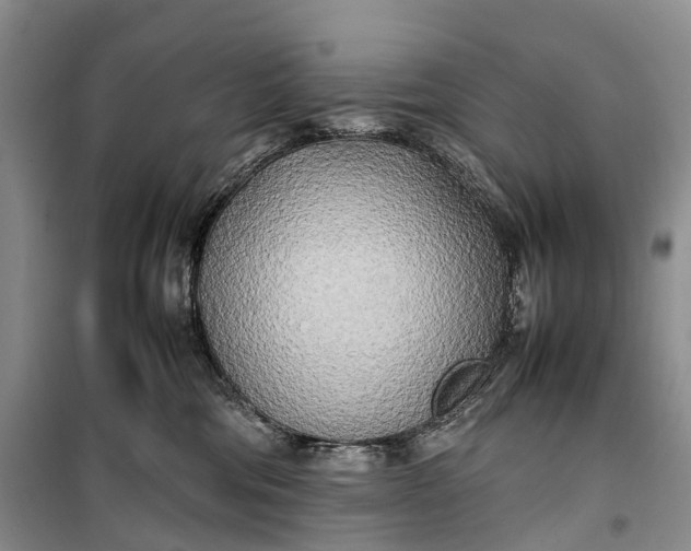 X0000100230330200806131342