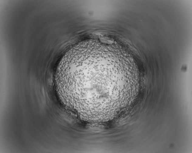 X0000100230331200806131342