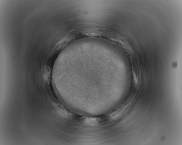 X0000100230332200806131342