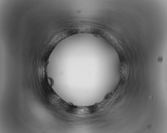 X0000100230333200806131342