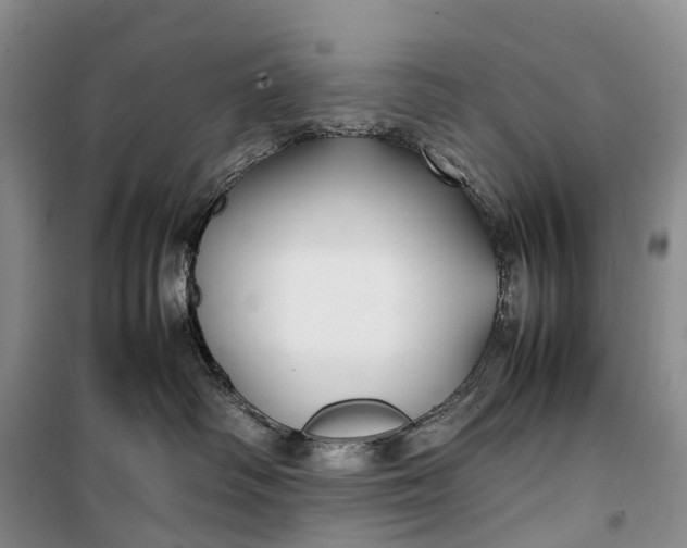 X0000100230334200806131342