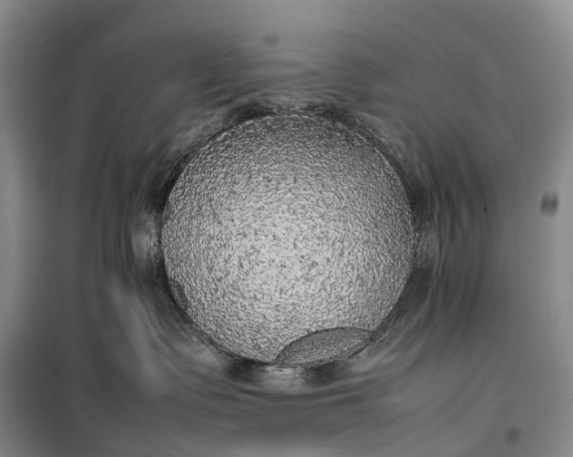 X0000100230335200806131342