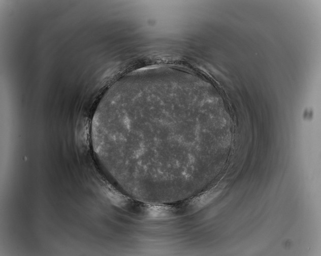 X0000100230336200806131342