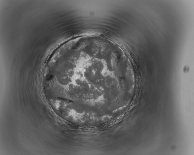 X0000100230337200806131341