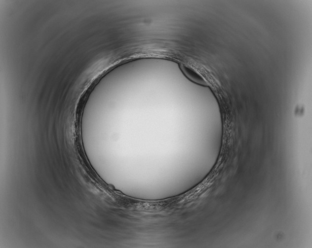 X0000100230338200806131341