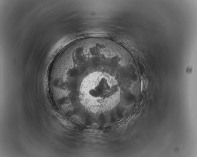 X0000100230339200806131341