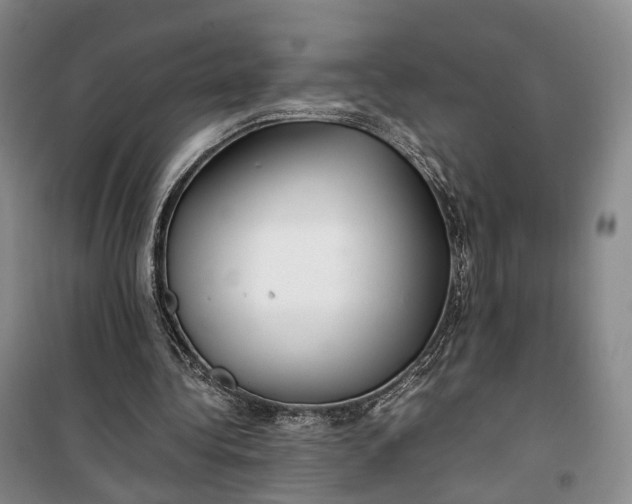 X0000100230340200806131341