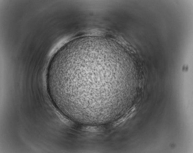 X0000100230341200806131341