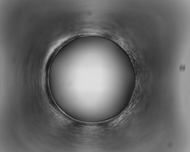 X0000100230342200806131341