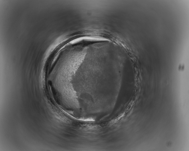 X0000100230343200806131341