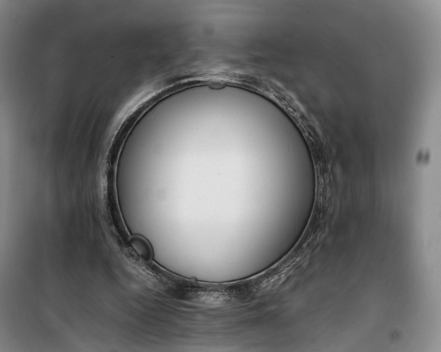 X0000100230344200806131341