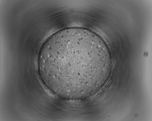 X0000100230345200806131341