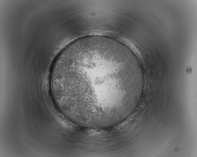 X0000100230346200806131341