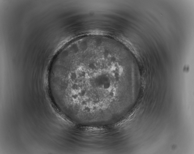 X0000100230347200806131341