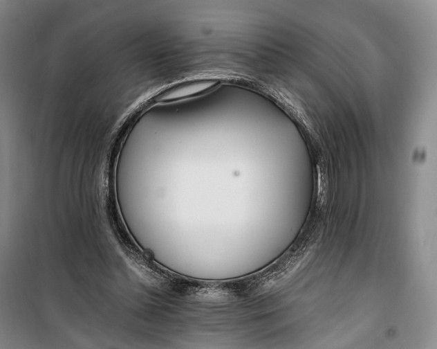 X0000100230348200806131341