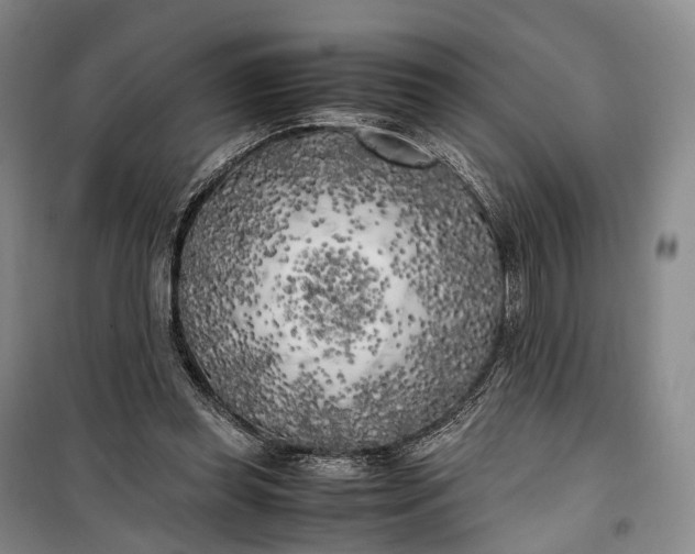 X0000100230349200806131341