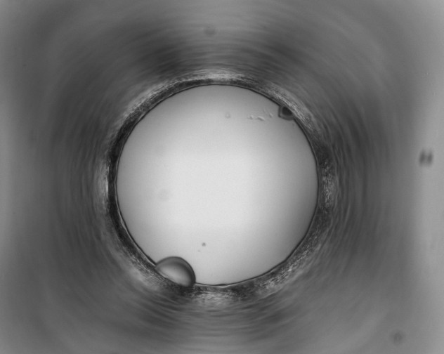 X0000100230350200806131341