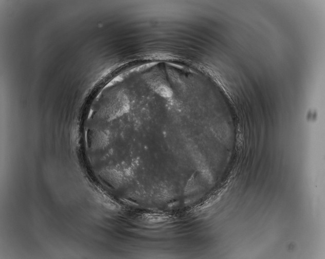 X0000100230351200806131341