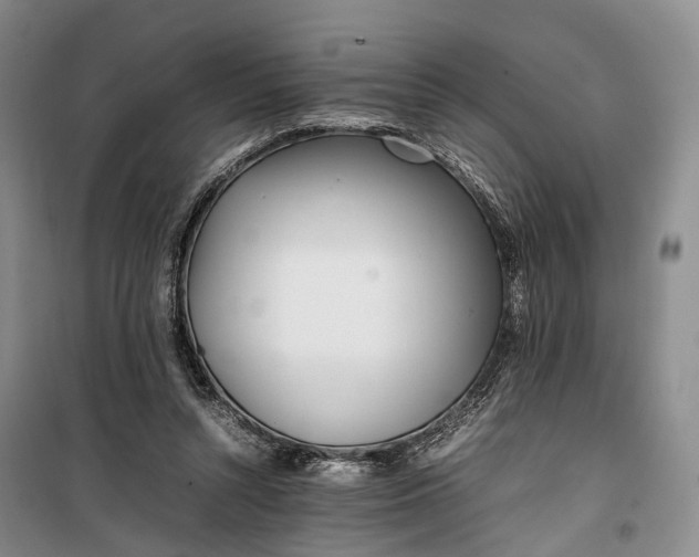 X0000100230352200806131341