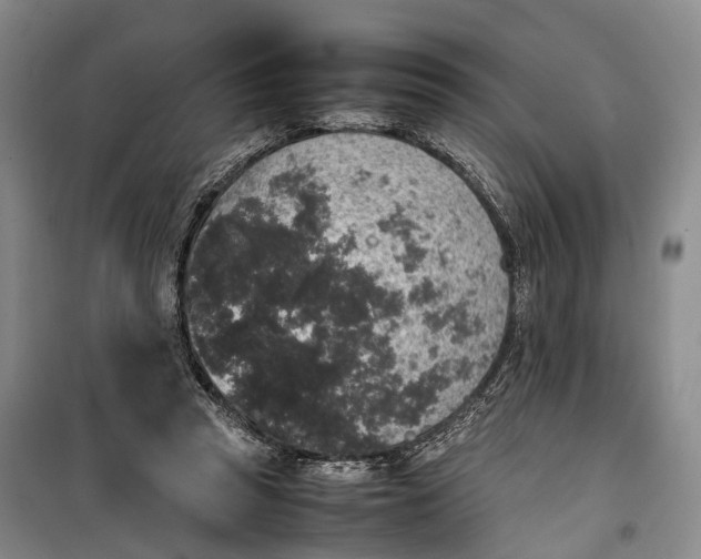 X0000100230353200806131341