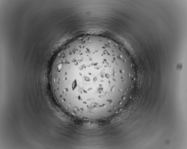 X0000100230354200806131341