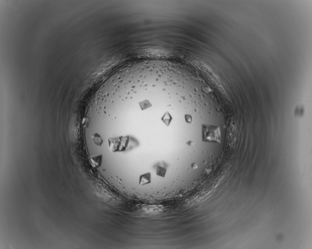 X0000100230355200806131341