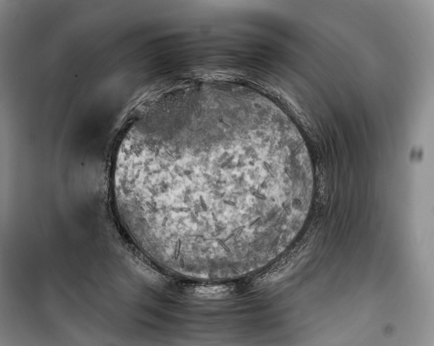 X0000100230357200806131341