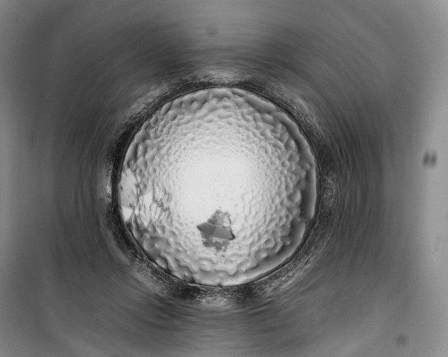 X0000100230358200806131341