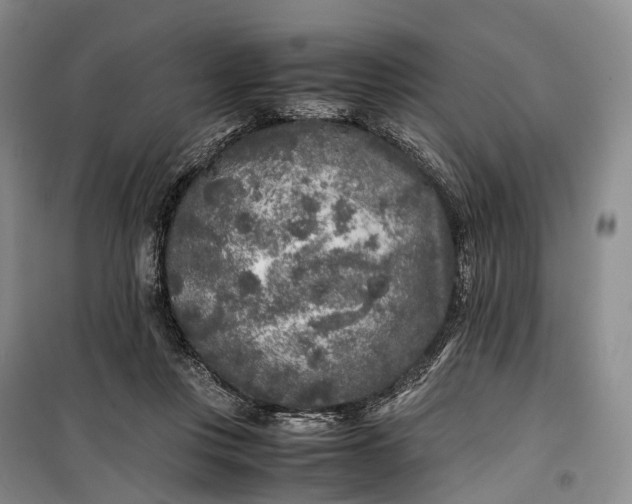 X0000100230359200806131341