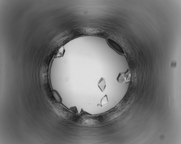 X0000100230360200806131341