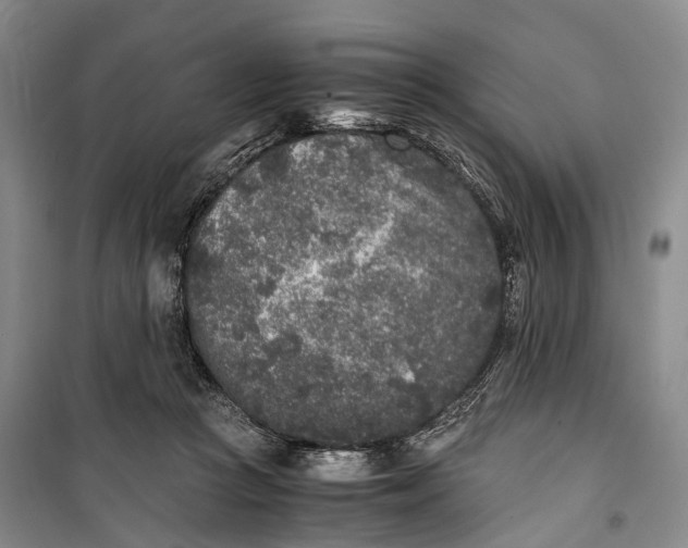 X0000100230361200806131341