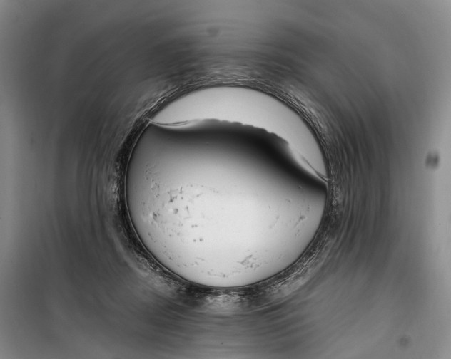 X0000100230362200806131341