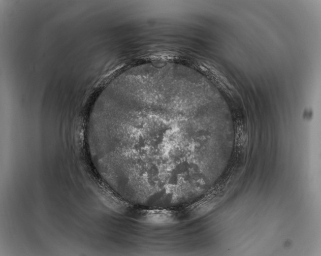 X0000100230363200806131341