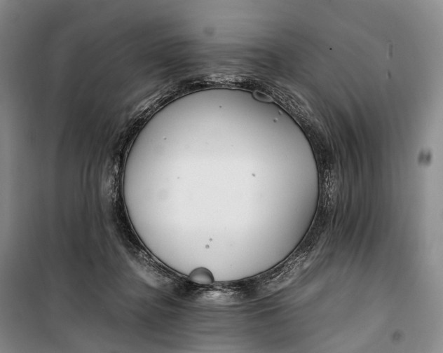 X0000100230364200806131341