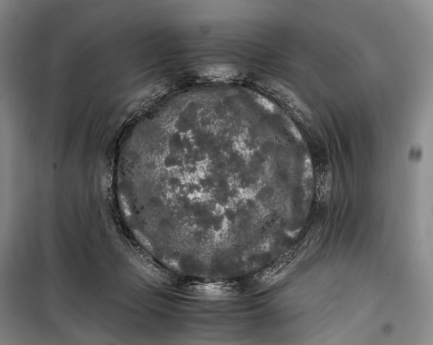 X0000100230365200806131341