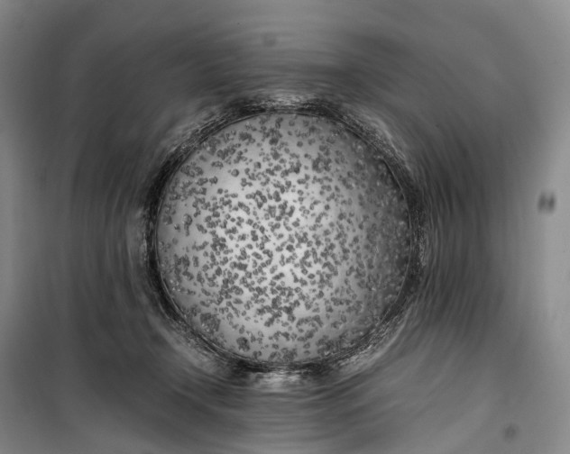 X0000100230366200806131341