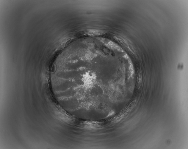 X0000100230367200806131341