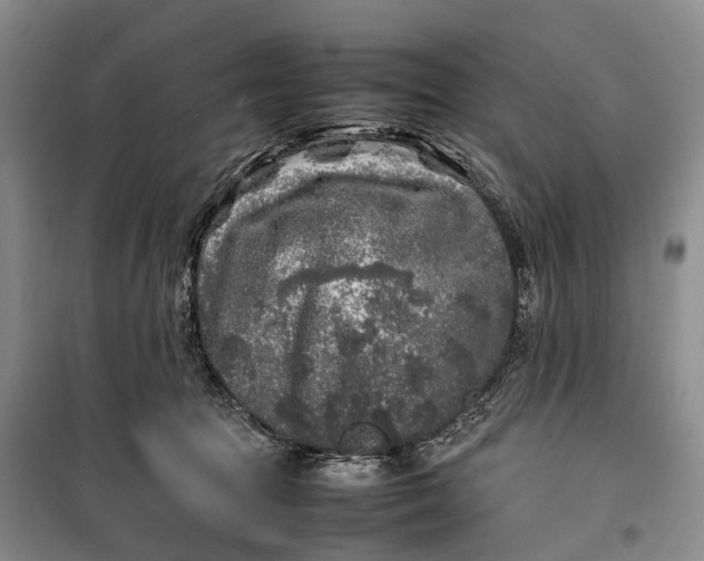 X0000100230369200806131341