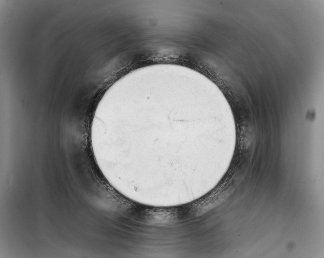 X0000100230370200806131341