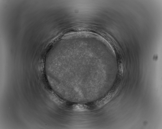 X0000100230372200806131341