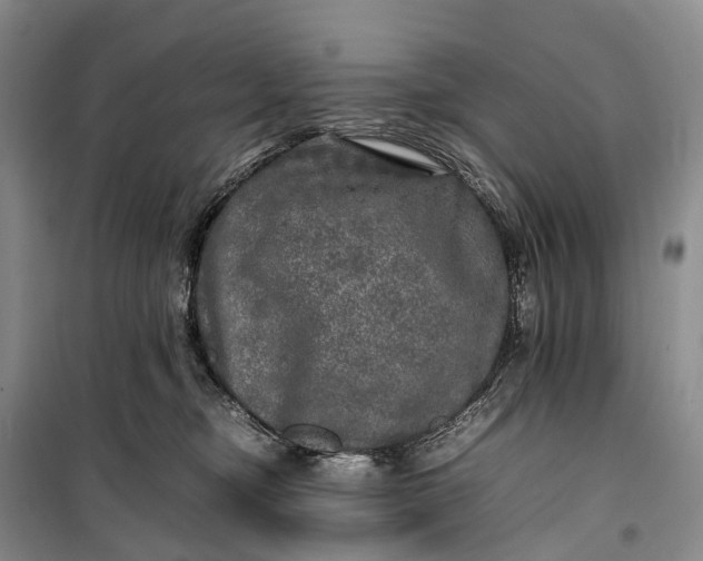 X0000100230374200806131341