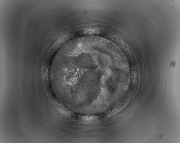 X0000100230375200806131341