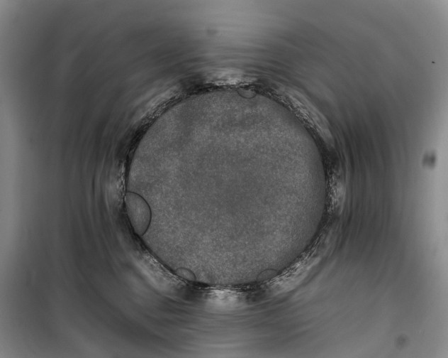 X0000100230376200806131341