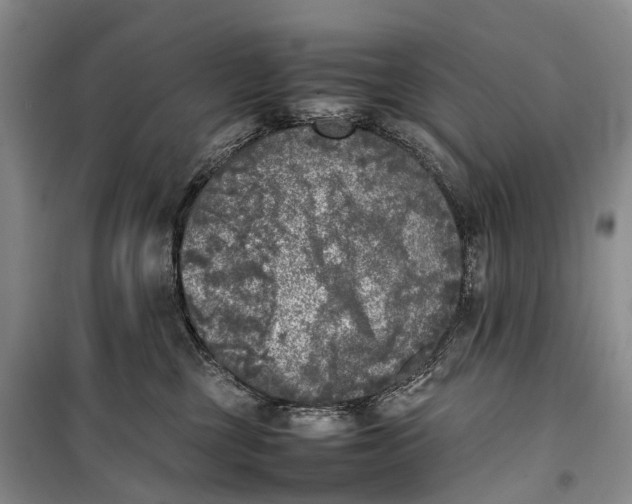 X0000100230377200806131341