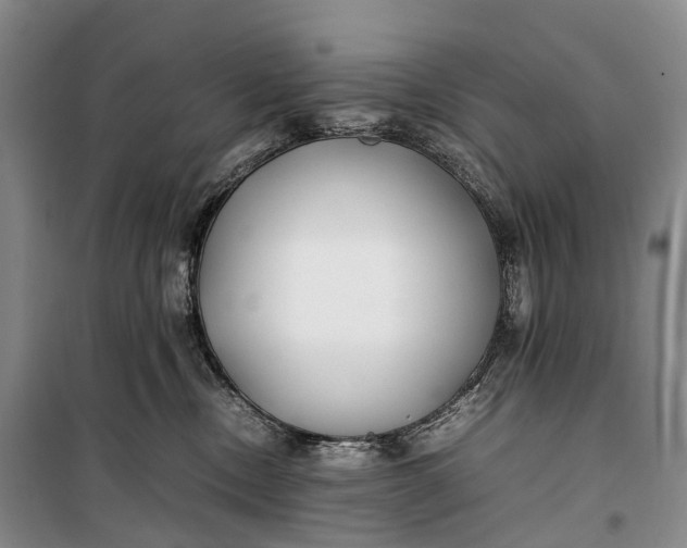 X0000100230378200806131341